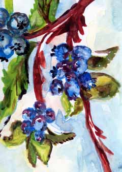 "Huckleberry Blue" by Mary Lou Lindroth, Rockton IL - Watercolor, SOLD